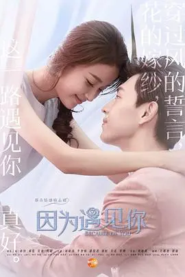 《因为遇见你》:刺绣梦想与爱情的交织,一场关于命运的甜蜜邂逅!